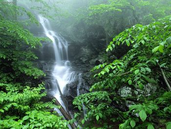 Lower Doyles River Falls, Shenandoah National Park, Virginia screenshot