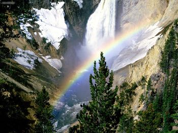 Lower Falls Yellowstone National Park screenshot