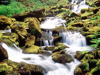 Lower Proxy Falls Three Sisters Wilderness Willamette National Forest Oregon screenshot