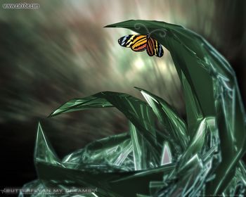 Lucid Butterfly Large screenshot