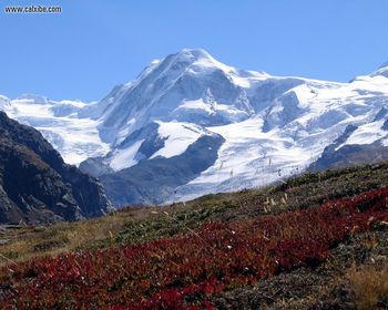 Lyskamm screenshot