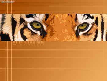 Mac Tiger screenshot