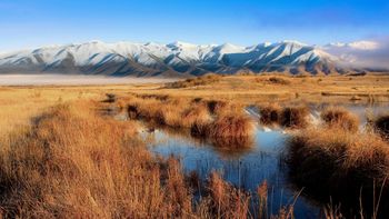 Mackenzie Country screenshot