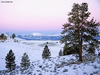 Mammoth Mountain And The Minarets Sierra Nevada California screenshot