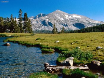 Mammoth Peak Yosemite National Park California screenshot