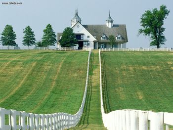 Manchester Farm Lexington Kentucky screenshot