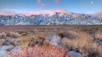 Manzanar, Mount Whitney, California screenshot