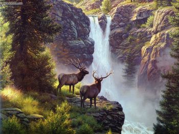 Mark Keathley Elk screenshot