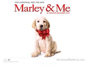 Marley & Me Dog screenshot