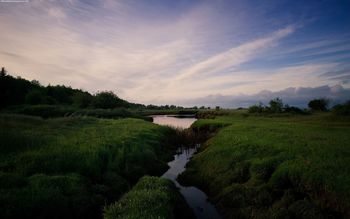 Marshland Sunset screenshot