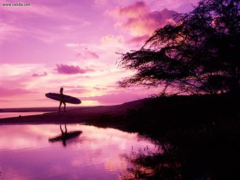 Maui Surfer Hawaii screenshot