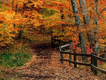 Mc Cormick Creek State Park Indiana screenshot