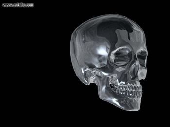 Metal Skeleton Crystal Skull screenshot