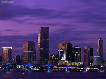 Miami Nights Florida screenshot