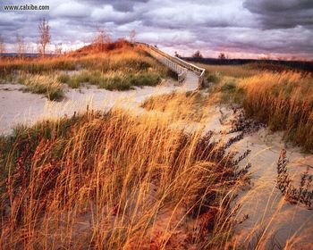 Michigan Sleeping Bear Dunes Boardwalk screenshot