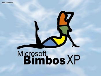 Microsoft Bimbos XP screenshot