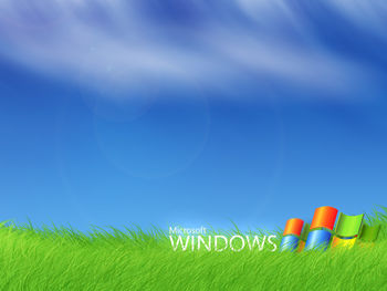 Microsoft Windows screenshot