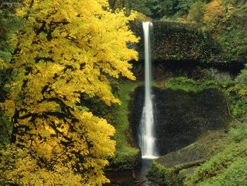 Middle North Falls, Silver Falls, Oregon screenshot