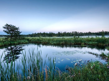 Mirror Glass Pond screenshot