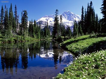 Mirror Lake Mount Rainier Washington screenshot