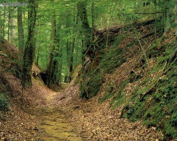 Mississippi Natchez Trace screenshot