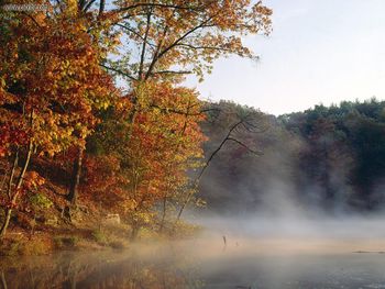 Mist And Autumn Color Along Stahl Lake Indiana screenshot