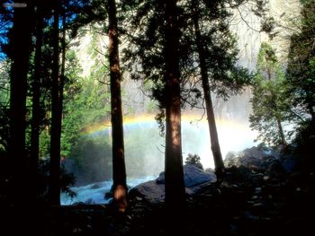 Misty Rainbow Yosemite National Park California screenshot