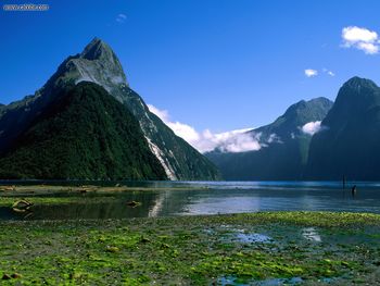Mitre Peak Milford Sound New Zealand screenshot