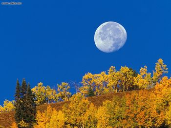 Moon Setting At First Light Crested Butte Colorado screenshot