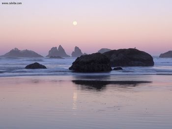 Moonset And Kittens Sea Stacks Bandon Oregon screenshot