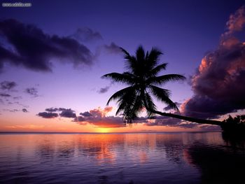 Moorea French Polynesia screenshot