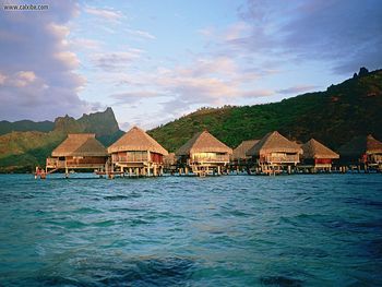 Moorea Island Cabins French Polynesia screenshot