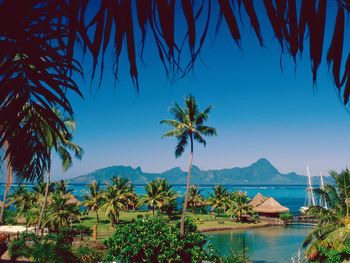 Moorea Island, Tahiti screenshot