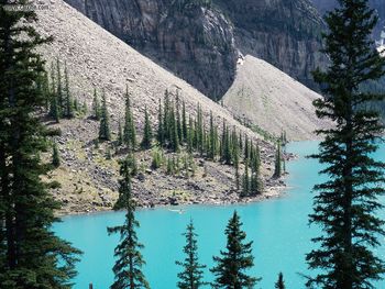 Moraine Lake Banff National Park Alberta Canada screenshot