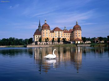 Moritzburg Castle, Germany screenshot