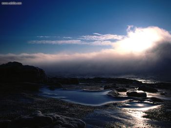 Morning Icebergs Kenai Alaska screenshot