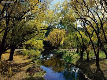 Morses Creek Bright Victoria Australia screenshot