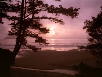 Mosquito Creek Meets The Sea Olympic National Park Washington screenshot