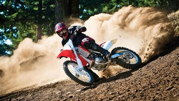 Moto Race In Forest screenshot