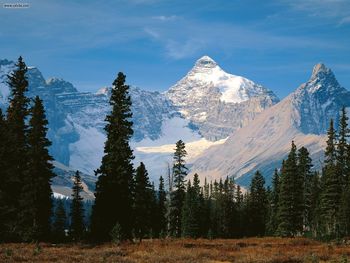 Mount Athabasca Jasper National Park Alberta screenshot