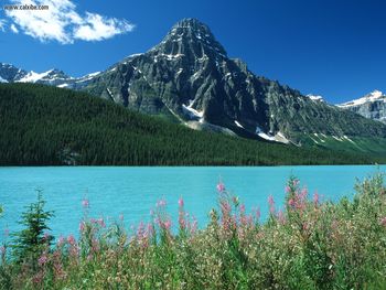 Mount Chephren Waterfowl Lakes Canadian Rockies Alberta screenshot