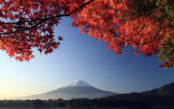 Mount Fuji Autumn Maple Japan screenshot