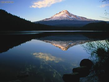 Mount Hood From Trillium Lake Oregon screenshot