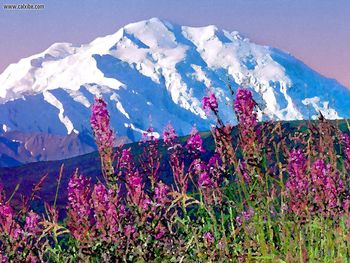 Mount Mc Kinley Denali National Park Alaska screenshot