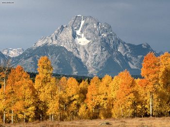 Mount Moran In Autumn Wyoming screenshot