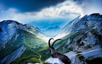 Mount Pilatus screenshot