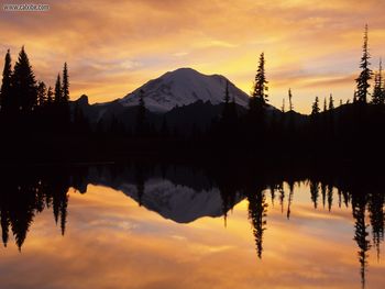 Mount Rainier And Tipsoo Lake Washington screenshot