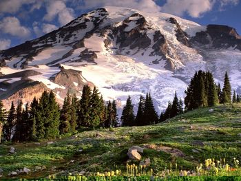 Mount Rainier Washington screenshot