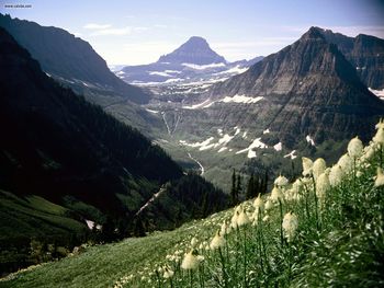 Mount Reynolds Glacier National Park Montana screenshot