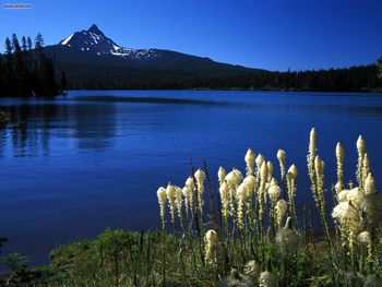 Mount Washington From Big Lake Oregon screenshot